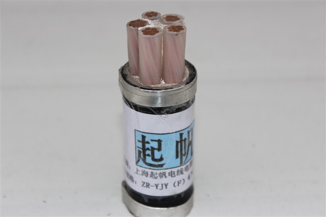 ZR-YJY(F) 交联聚乙烯绝缘聚氯乙烯护套阻燃辐照电缆